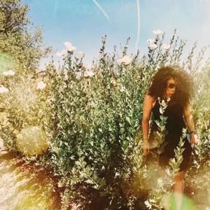 Meet your Posher, Alexa